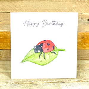 d'anniversaire personnalisée coccinelle | carte d'anniversaire pour adolescents, carte d'anniversaire d'amis, faune britannique, jolie coccinelle, petite dame