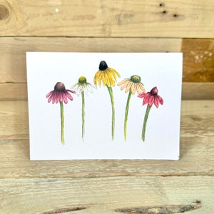 Blanko-Notizzettel | Grußkarte, Blanko-Grußkarte mit Umschlag, Echinacea, botanische Grußkarte, Aquarellblumen, schlichte Karten