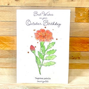 Personalisierte Oktober Geburtstagskarte | Ringelblume, Geburtsmonat Blume, Geburtsblume Oktober, Bestseller Geburtstagskarte, luxuriöse Karte, Waage