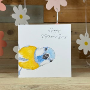 Blaumeise Muttertagskarte | glücklich Muttertag, Natur inspiriert, britischer Vogel, Vogel Karte, Vogel Mutter Tages Karte, Blaumeise