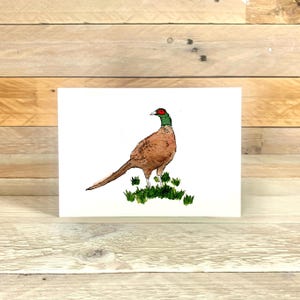 Blank Pheasant Notelet | game bird, shooting card, illustration, hand drawn, blank cards, english countryside, small greeting cards, farming