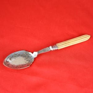 Vintage Preserve Spoon - Ornate - Celluloid Handle