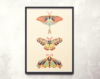 Moths Art Print // Folk Art Insects Print // Giclée Artist Print