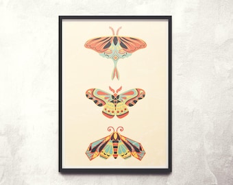 Impresión de arte de polillas // Impresión de insectos de arte popular // Impresión de artista Giclée
