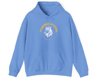 Moletom com capuz e logotipo TrueViewz, moletom com design original, pulôver unissex, suéter com capuz gráfico, roupa aconchegante