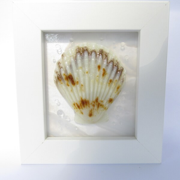 A mini framed fused glass shell