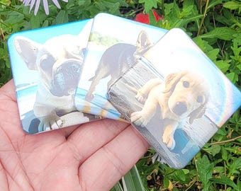 May include: Three square coasters with images of puppies on them. The coasters are white with a blue and white border. The puppies are a French Bulldog, a German Shepherd, and a Golden Retriever.