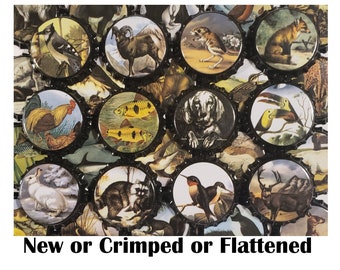 100 Animal Beer Bottle Caps Wildlife Decoration Flattened Bottle Caps