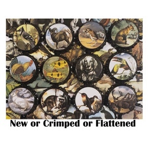 100 Animal Beer Bottle Caps Wildlife Decoration Flattened Bottle Caps