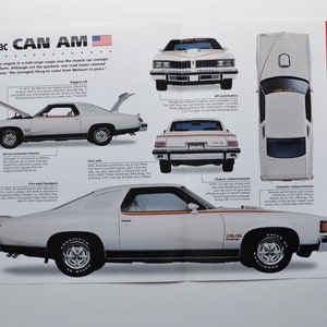 Folha de especificações Pontiac Can Am (1977) (carro, foto, estatísticas, informações, especificações, folheto, anúncio, antigo, retrô, vintage)