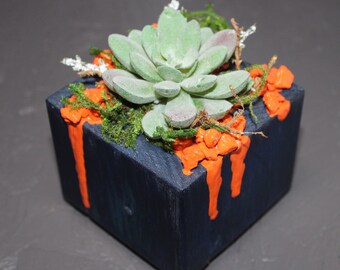 Cosmic Box Faux Succulent Floral Arrangement w/Handcrafted Wooden Planter - Green Goblin mini Cosmic Box Faux Succulent Floral Arrangement w/Handcrafted Wooden Planter - Green Goblin mini