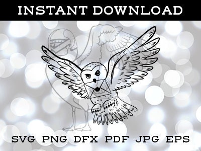 Owl with letter SVG DFX cutfile