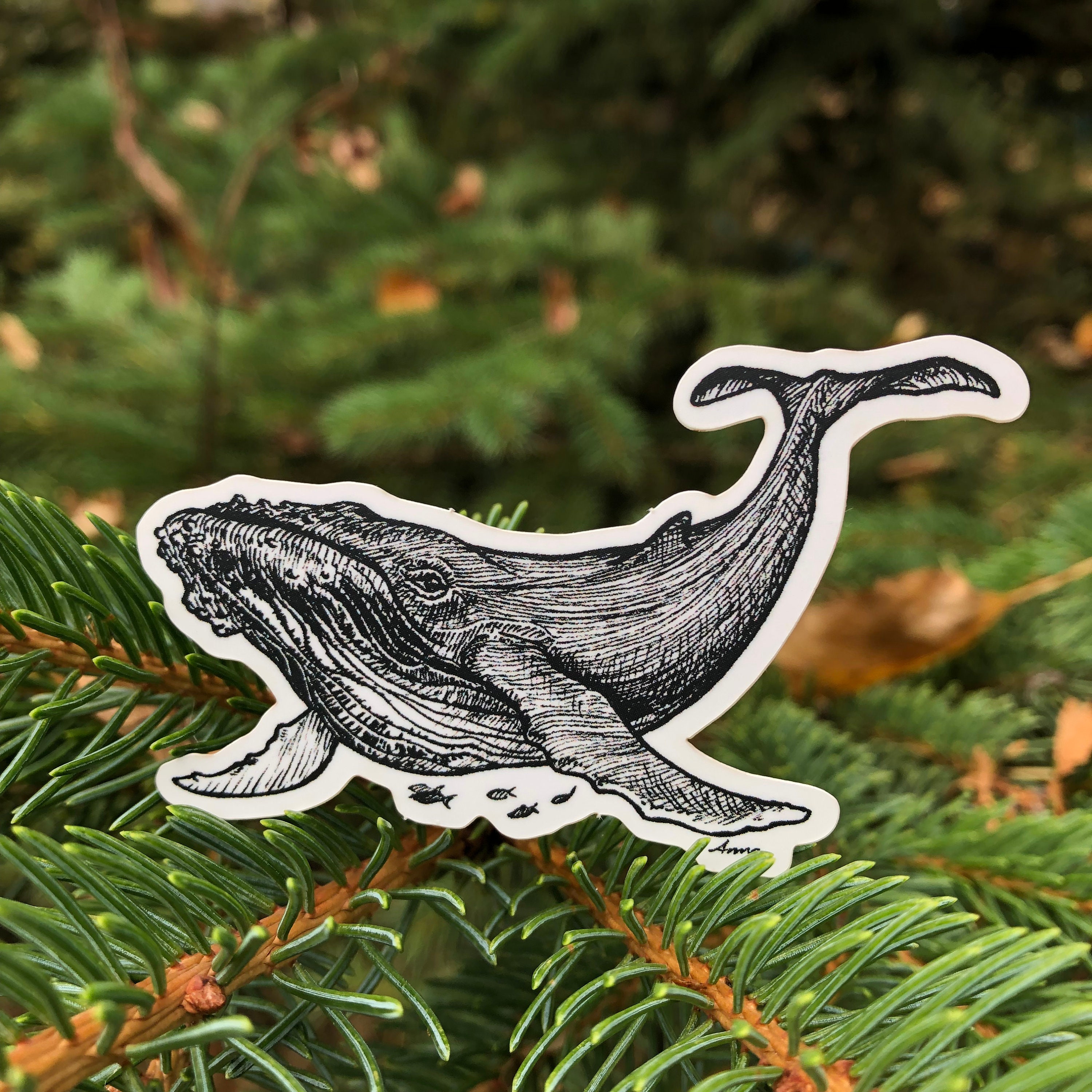 Humpback Whale Vinyl Sticker whale decal ocean life nature Etsy