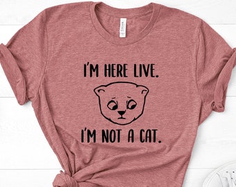 Lawyer Cat Etsy