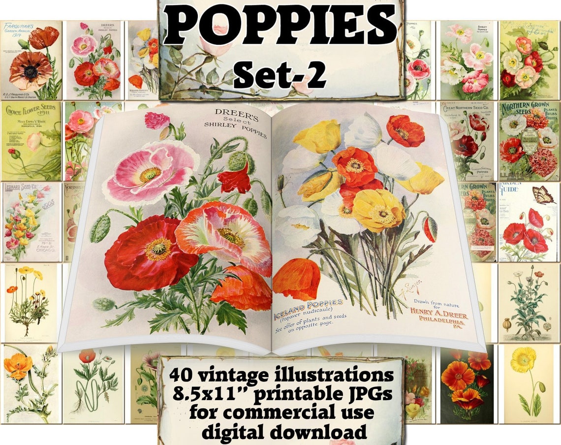 POPPIES Set-2 vintage 40 printable 8.5x11 inch scrapbooking | Etsy