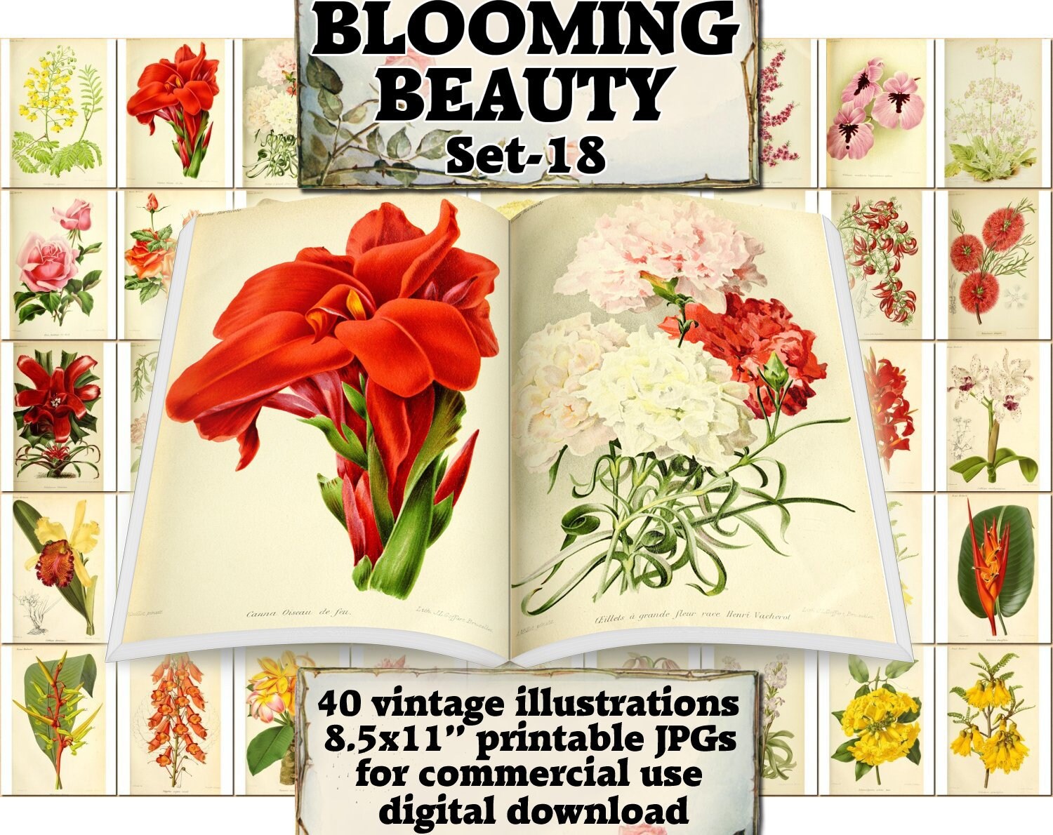 BLOOMING BEAUTY Set-18 vintage 40 printable 8.5x11 inch | Etsy