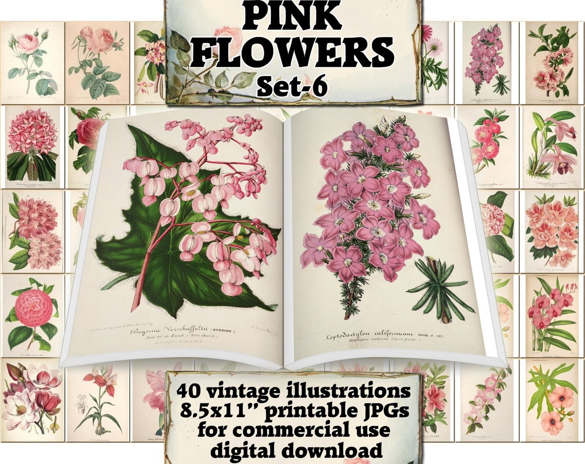 PINK FLOWERS Set-6 vintage 40 printable 8.5x11 inch | Etsy