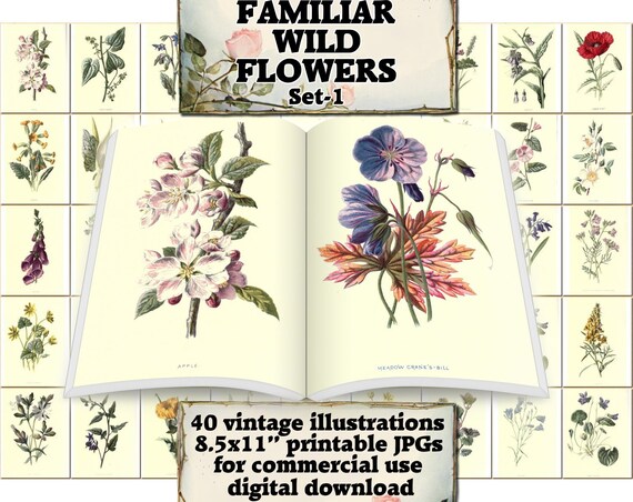 FAMILIAR WILD FLOWERS Set-1 Vintage 40 Printable 8.5x11 Inch | Etsy