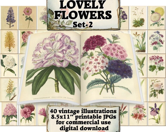 LOVELY FLOWERS Set-2 vintage 40 printable 8.5x11 inch | Etsy