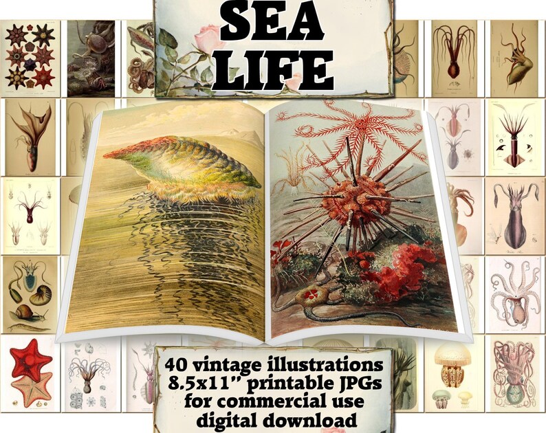 SEA LIFE Vintage 40 Printable 8.5x11 Inch Scrapbooking | Etsy