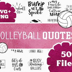 50 Volleyball Life Quote Files