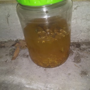 Op de afbeelding: Een heldere glazen pot met een groene deksel, gevuld met een geelbruine vloeistof en kleine plantenresten. De pot staat op een betonnen oppervlak. De inhoud is zichtbaar door het transparante glas.