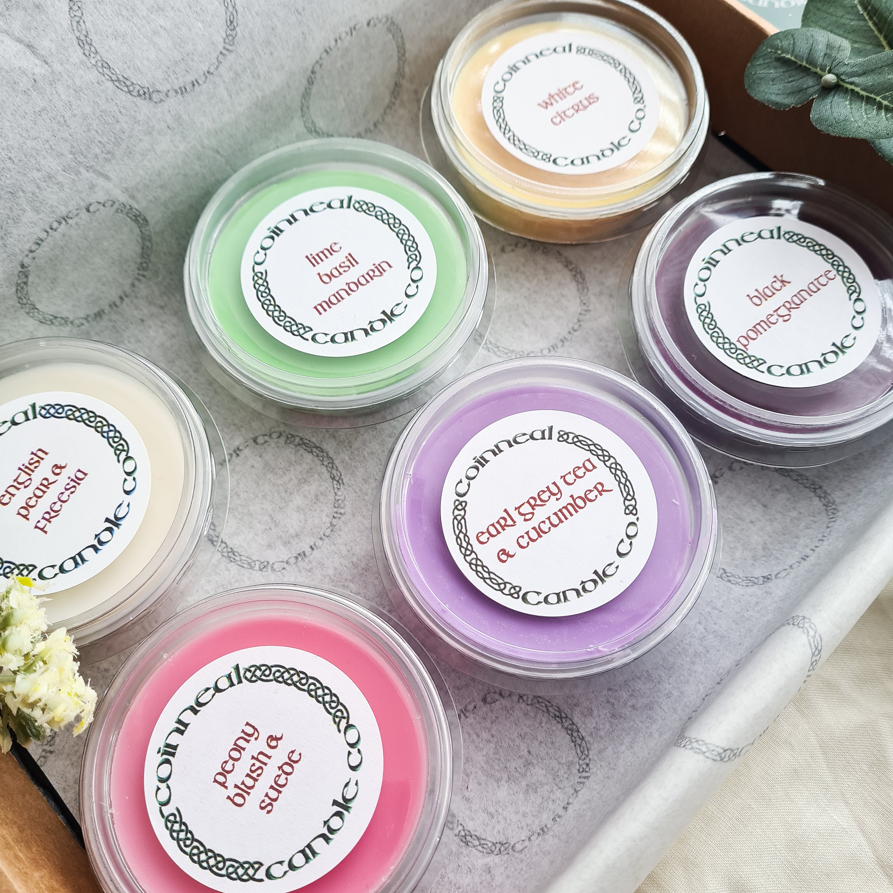 Wax Melt Pots Sample Box 6 X 2oz Deli Pots Wax Melt Etsy UK