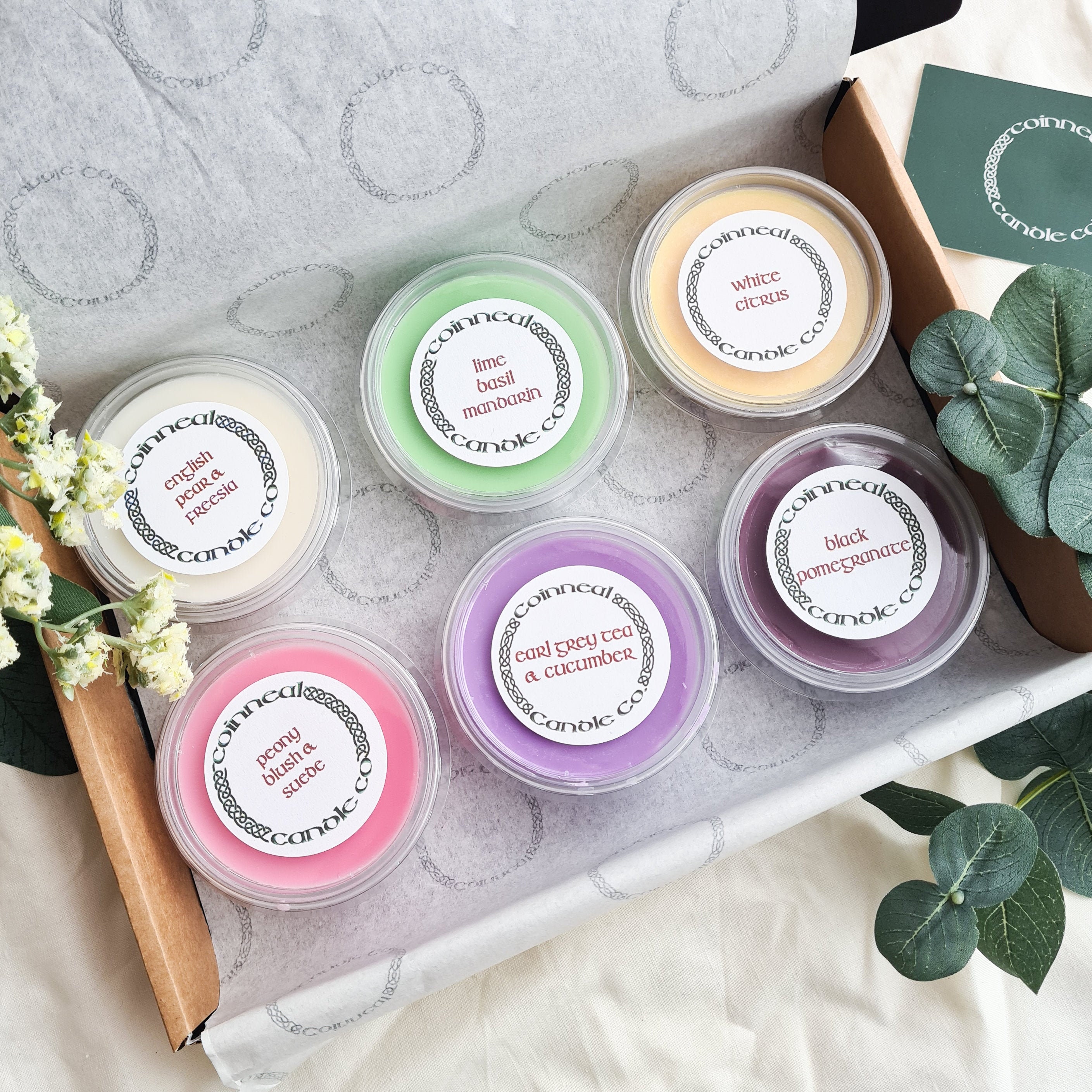 Wax Melt Pots Sample Box 6 x 2oz Deli Pots Wax Melt Etsy