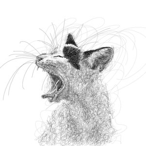 SCRIBBLE Schwarz Weiße KATZE, Realistische Kritzelzeichnung, Kornische Katze Tier Kunstdruck aus Cornwall von Dena Marshall. Vegan freundlich