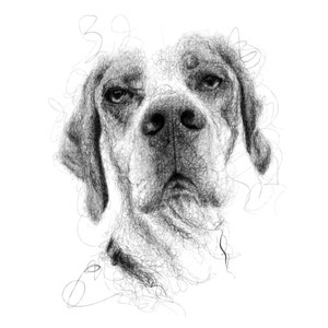 May include: A detailed black and white illustration of a dog's face, created with a scribble-like technique. The dog has a prominent nose, expressive eyes, and a slightly furrowed brow, conveying a sense of thoughtfulness. The artwork is set against a clean white background.