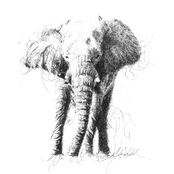 WILDLIFE ELEPHANT SCRIBBLE, Realistic Scribbled Ink Drawing, Wildlife  Animal Art Print from Cornwall by Dena Marshall. Vegan Friendly