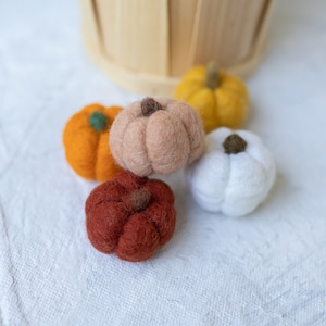 Handmade Wool Felt Pumpkin: Fall Decor