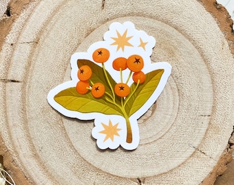 Orange Berries ~ Planner / Journal Sticker ~ illustration / drawing / fall / nature / cottagecore / cute cosy / floral