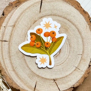 Orange Berries ~ Planner / Journal Sticker ~ illustration / drawing / fall / nature / cottagecore / cute cosy / floral