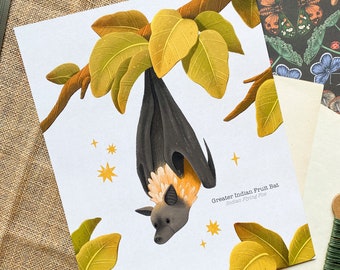 Cute Bat Print ~ 8x10" Zoological Art ~ cosy / nature / Autumn / Fall / illustration / painting / drawing  ~ HoneyPlumPaper