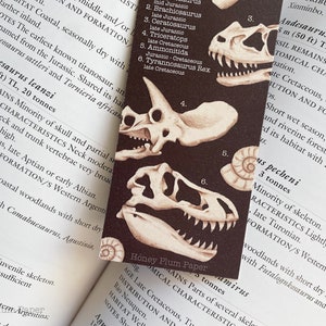 Fossil Bookmark Double Sided Dinosaur Art illustration / painting / drawing HoneyPlumPaper image 6