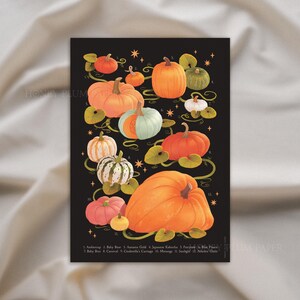 Póster de Pumpkin Patch ~ Impresión de póster de otoño A3 ~ Otoño / Temporada espeluznante / Arte antiguo vintage / Ilustración / Dibujo a mano ~ HoneyPlumPaper