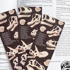 Fossil Bookmark Double Sided Dinosaur Art illustration / painting / drawing HoneyPlumPaper image 2