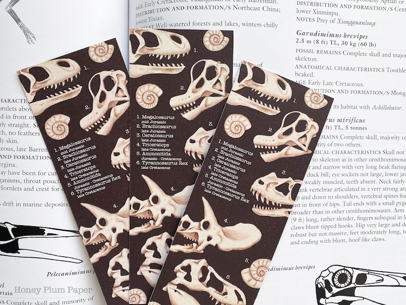 Fossil Bookmark Double Sided Dinosaur Art illustration / painting / drawing HoneyPlumPaper image 2