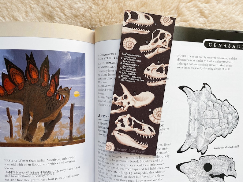 Fossil Bookmark Double Sided Dinosaur Art illustration / painting / drawing HoneyPlumPaper image 1