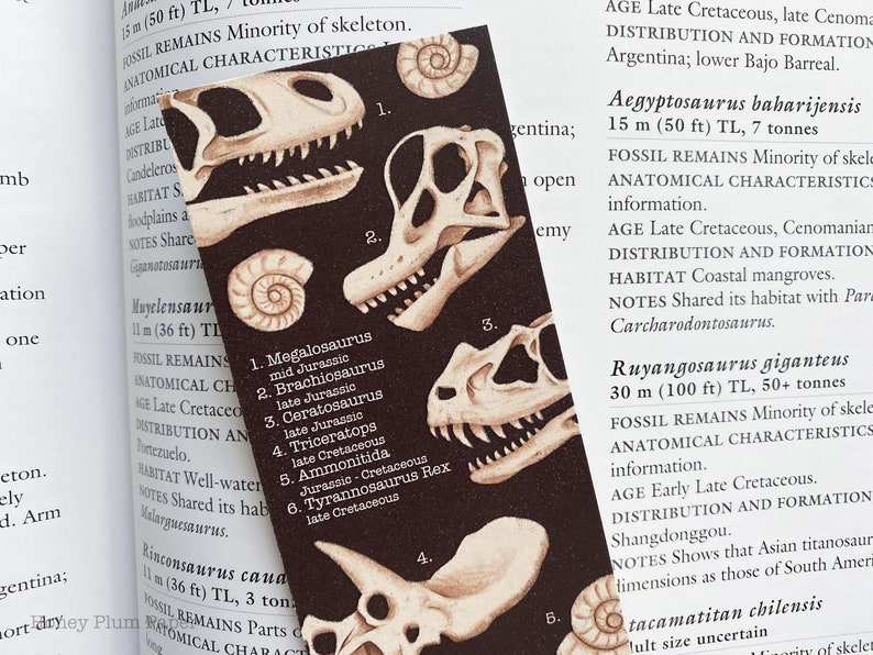 Fossil Bookmark Double Sided Dinosaur Art illustration / painting / drawing HoneyPlumPaper image 4