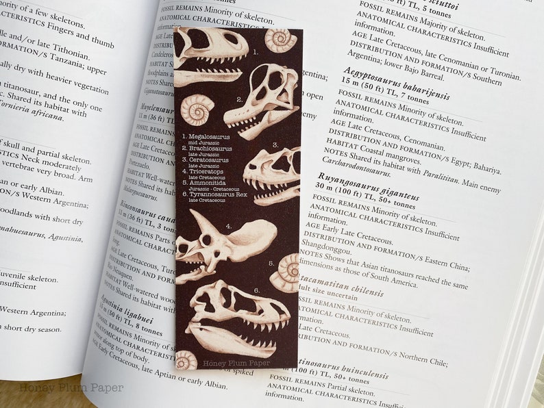 Fossil Bookmark Double Sided Dinosaur Art illustration / painting / drawing HoneyPlumPaper image 5