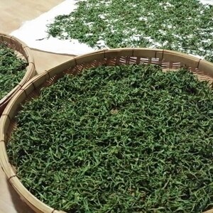 Pode incluir: Duas cestas redondas tecidas cheias de folhas verdes, provavelmente ervas ou folhas de ch&aacute;, s&atilde;o exibidas. Um pano branco com mais folhas verdes est&aacute; no fundo. As folhas s&atilde;o espalhadas para secar. As cestas s&atilde;o feitas de bambu marrom claro.