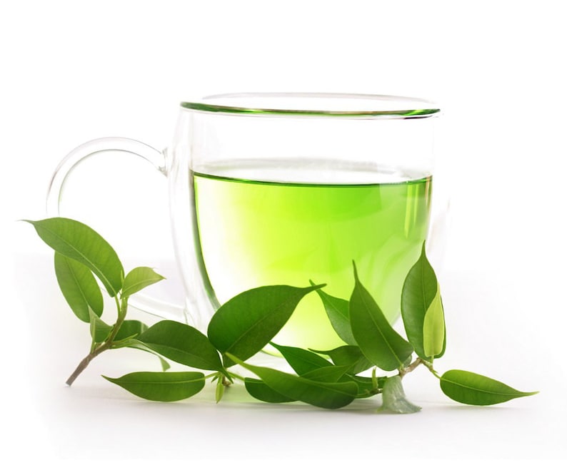 Pode incluir: Uma caneca de vidro transparente cheia de l&iacute;quido verde, possivelmente ch&aacute;, &eacute; mostrada. Folhas e caules verdes frescos s&atilde;o dispostos ao redor da caneca. A caneca tem uma al&ccedil;a e um design de parede dupla. O fundo &eacute; branco.