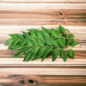 Fresh Curry Leaves (organic)