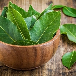 May include: A wooden bowl filled with fresh, green bay leaves. Several leaves are scattered on the surrounding wooden surface. The leaves have prominent veins and a vibrant green color, contrasting with the warm brown of the bowl and wood.