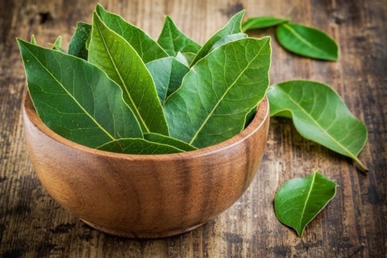 May include: A wooden bowl filled with fresh, green bay leaves. Several leaves are scattered on the surrounding wooden surface. The leaves have prominent veins and a vibrant green color, contrasting with the warm brown of the bowl and wood.