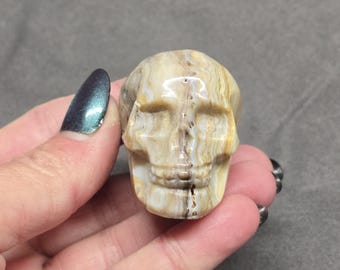 Crazy Lace Agate Crystal Skull, Skull, Manifestation, Lace Agate, Chakra, Crystal Energy, Crystal Skull, Crystal, American Seller