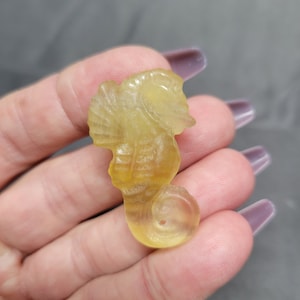 Yellow Fluorite Crystal Seahorse Carving, Seahorse, Yellow Fluorite, Fluorite, Crystal Seahorse, Manifestation, Crystal Energy, Chakra