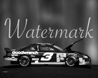Dale Earnhardt (Digital Prints)
